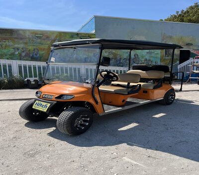 6 Passenger Golf Cart rental at anna maria island