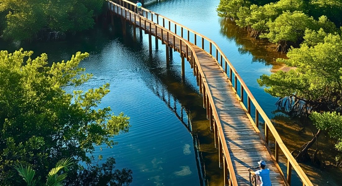 Bike Trails in Robinson Preserve