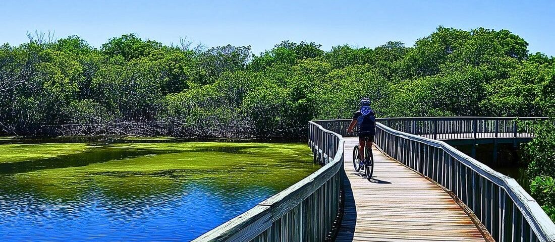 Anna Maria island Bike Paths