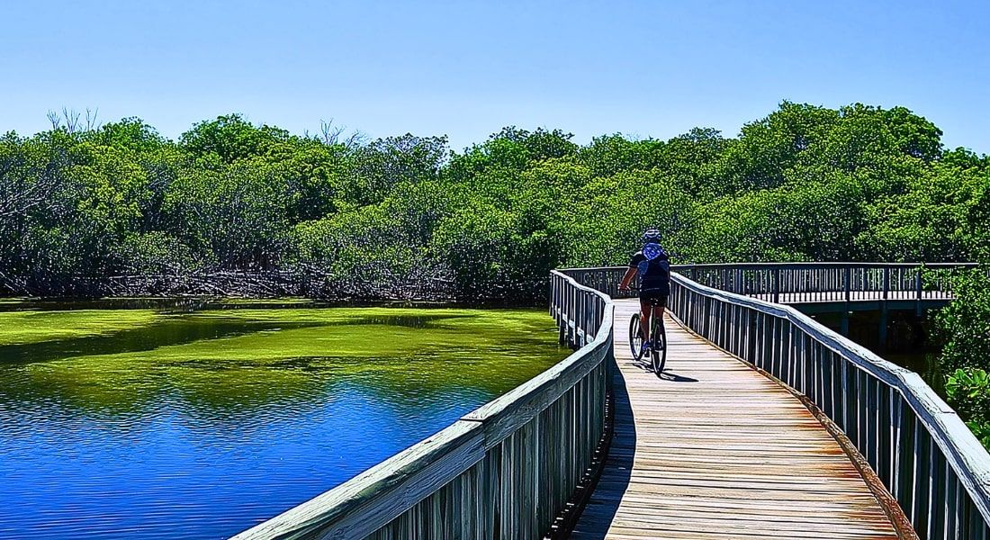 Anna Maria island Bike Paths